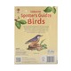 Spotter`s Guides Birds