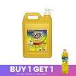 Ever Dishwashing Liquid 5L