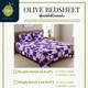 Olive Bedsheet Set Double (5PCS) 3264V