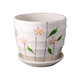 Cactus Gallery Flower Pot (Zodiac Design)
