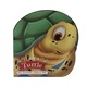Read More About Me - I Am A Turtle