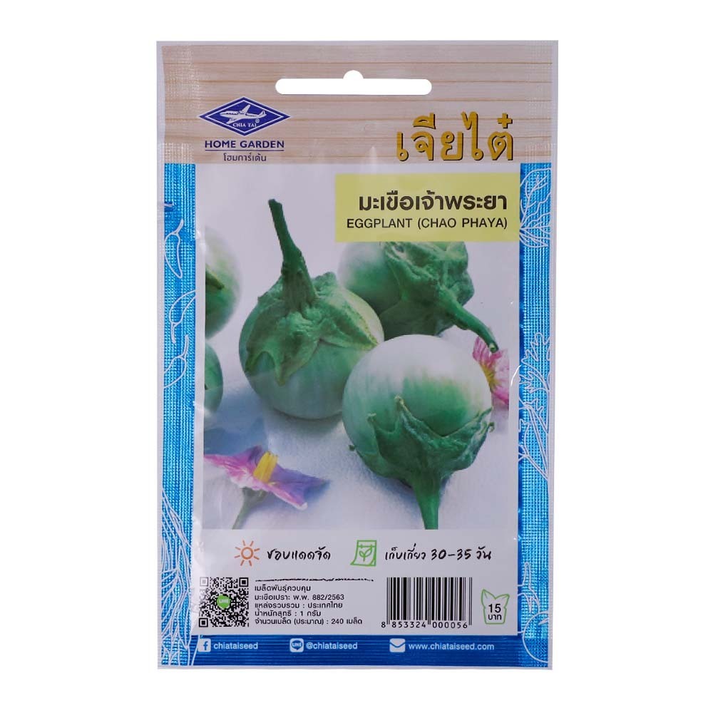 Home Garden Seed (Eggplant Chao Phaya)