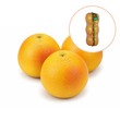 Grapefruit 3PCS