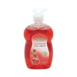 Eco Clean Hand Wash With Pump (Rose) 500ML