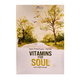 Vitamins For Soul (Myo Thiha Kyaw)