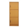 City Furniture Cabinet 450X385X1220MM CW-3