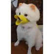 Gue Pet Muzzle Yellow (Small)