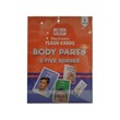 Body Parts&Five Senses 24Flashcards(Nwe Ni Kan Win
