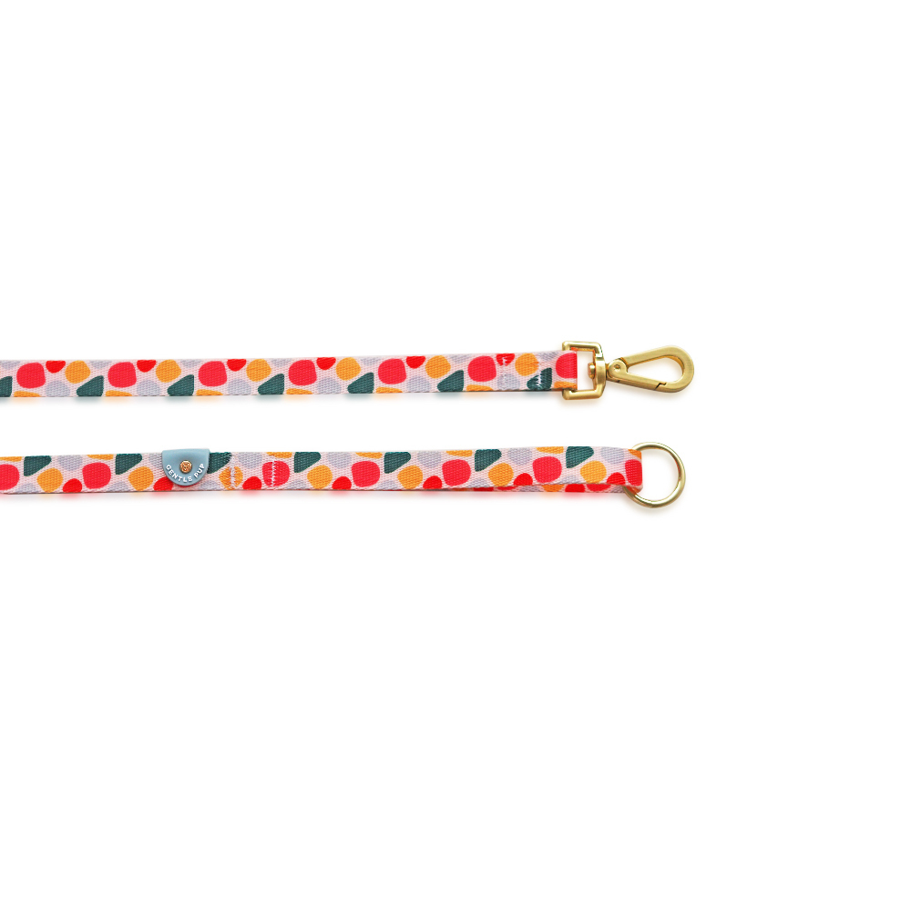 Gentle Pup - Candy Callie Leash M
