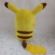 Pokemon Plush Toy 20CM