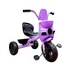 Baby Cele 607 3-Wheel Pedal Bike for Kids 11417