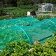 Sunshade Net For Fencing 90ft x 4ft