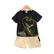 Boy Dinosaur Print Short-Sleeve Tee Shorts Set (4-5 Years) 20649712