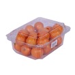 Kumquat Orange (Pack)