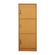 City Furniture Cabinet 450X385X1220MM With  Door CW-3