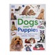 My Book Of Dogs And Puppies