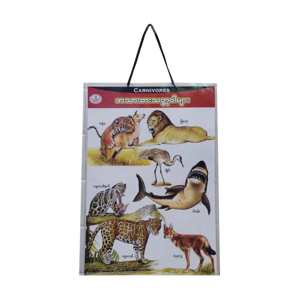 U Learn Carnivores Poster