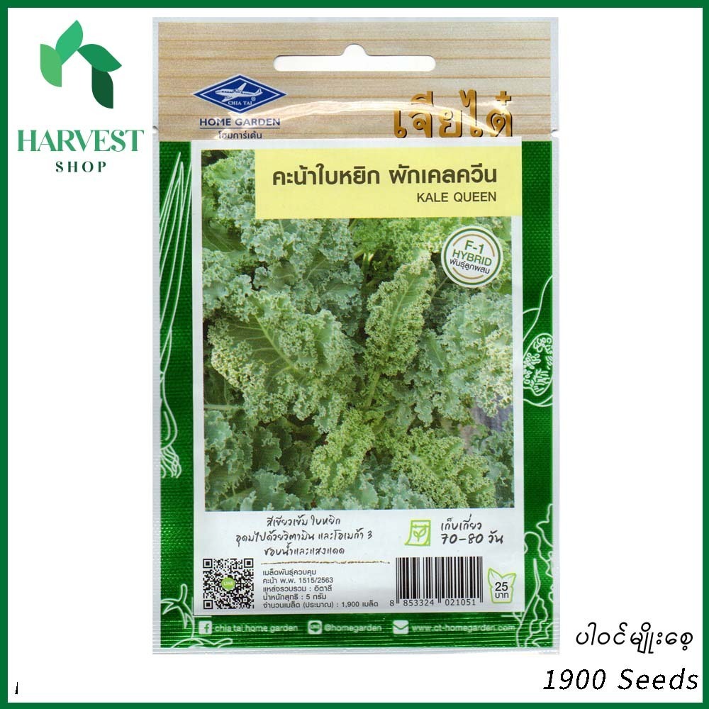 Harvest Shop Curly ကိုက်လန်မျိုးစေ့ HLF 004