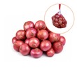 Onion 800G (S)