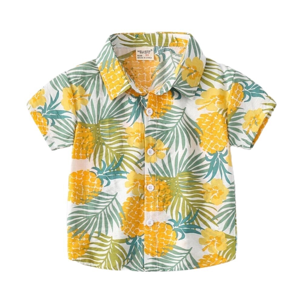 Hawaii Shirt 4yr  1873