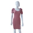 TS Dress Collection Sheath Dress 01 Pink