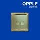 OPPLE OP-E06S6402-J1-Computer Socket Twin(100Mbps) Switch and Socket (OP-23-127)