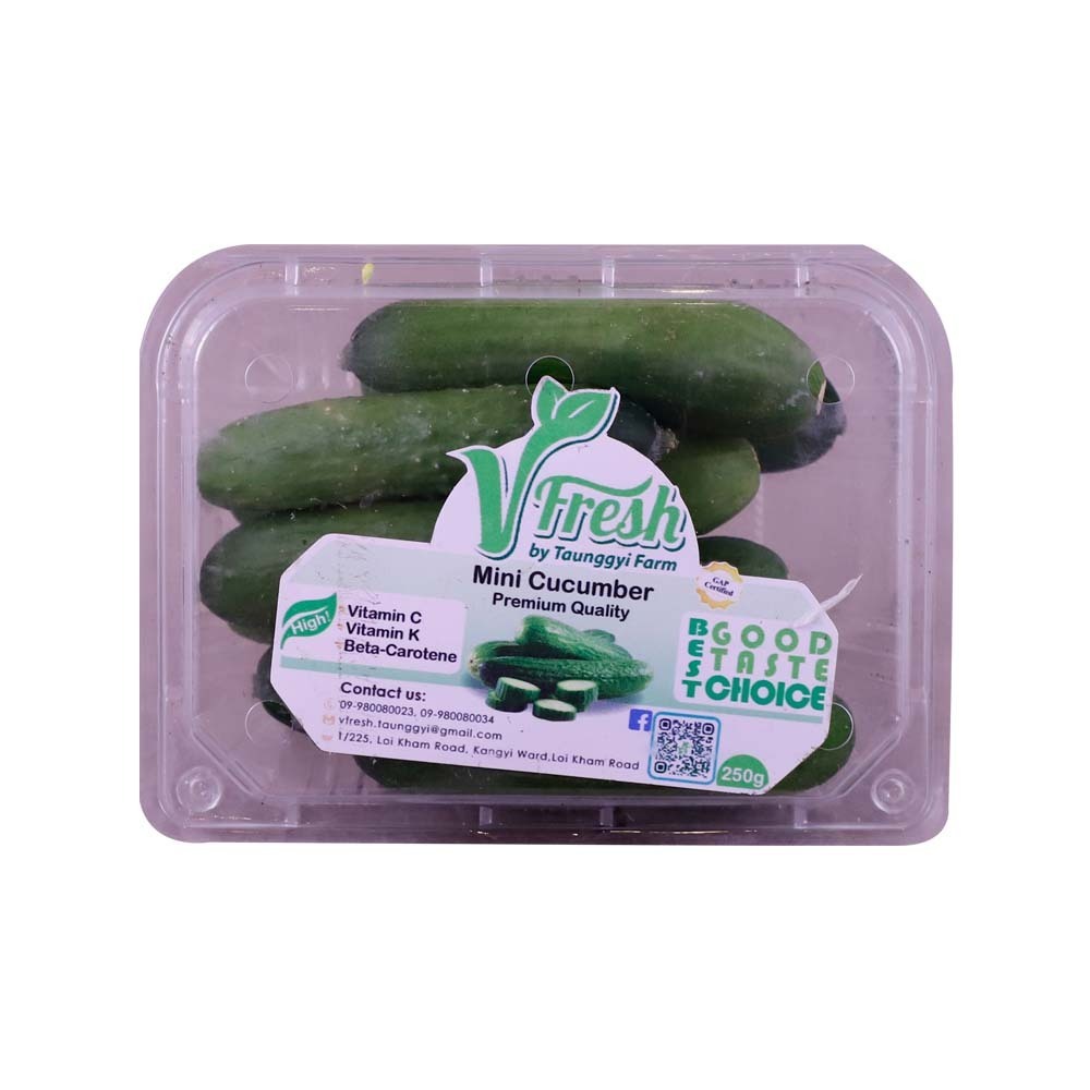 V Fresh Mini Cucumber 250G