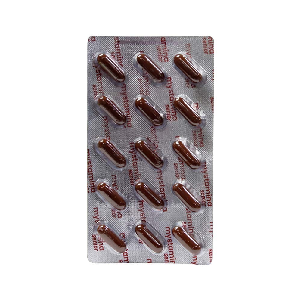 Mystamina Senior Mv & Mineral 15PCS