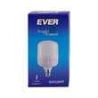 Ever Daylight Bulb 15W B22 (Pin)
