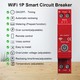 Tuya Wifi Intelligent Circuit Breaker 63A Metering  SMT0001034S