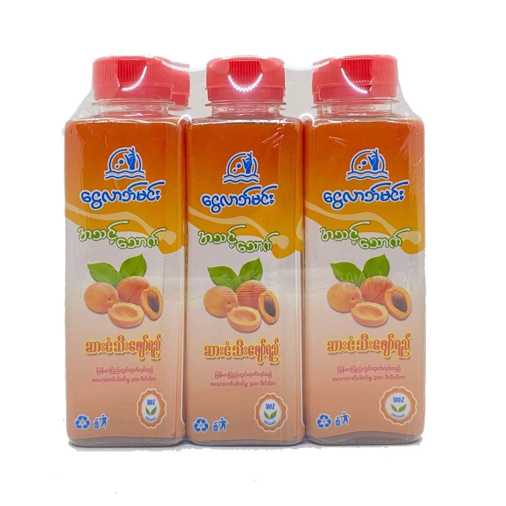 Ngwe Larb Minn Apricot Juice 300ML x 6PCS