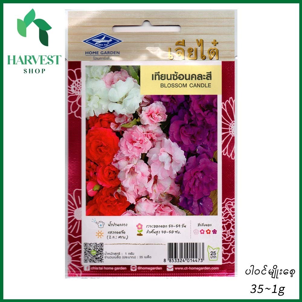 Harvest Shop Blossom Candle Seeds HF 021