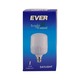 Ever Daylight Bulb 15W B22 (Pin)