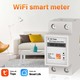 Tuya App Wifi Smart Energy Meter SMT0000800