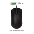 Zowie Mouse  (9H.N2TBB.A2E)