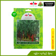 East-West Seed - Chilli - Shwe Myar (VP-80 Seeds) 5G
