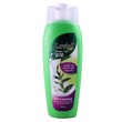 Lovial Green Tea Shampoo Dry&Damage 350ML