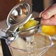 Stainless Steel Lemon Squeezer