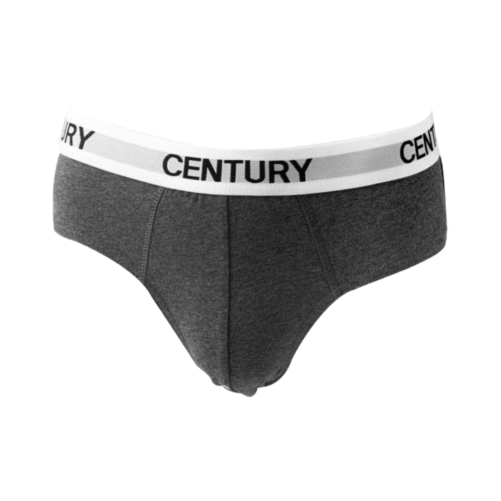 Century Brief  2`S Small Gray No.005