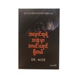 There Is Light Beyond Darkness Reprint (Dr.Moe)