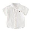 Boy Shirt B40023 Large (3 to 4) Years