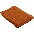 Lion Face Towel 12X12IN (Brown)