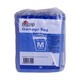 City Value Garbage Bag 22 x 30in 20PCS x 5 Blue