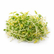 Microgreen Protein Mix Super Stir Fry 150G