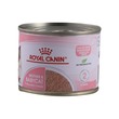 Royal Canin Cat Food Mother & Baby 195G