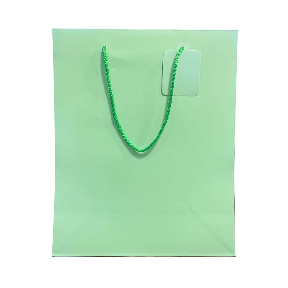 Gift Bag A021079