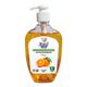 Excel Care Active Guardian Anti-Bacteria Hand Wash 500ML ( Lemon )