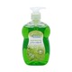 Eco Clean Hand Wash With Pump (Green Tea) 500ML