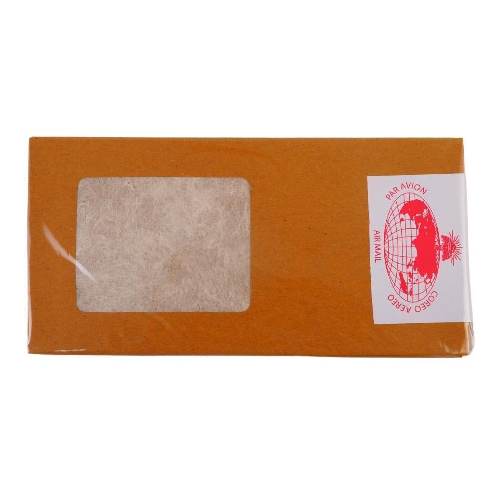 Pearl Yadana Envelopes Brown 2 Window 10PCS 9X4.2IN