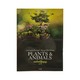 Plants & Animals (Mg Tin Oo)
